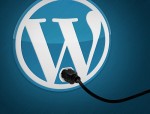 WordPress Plugins